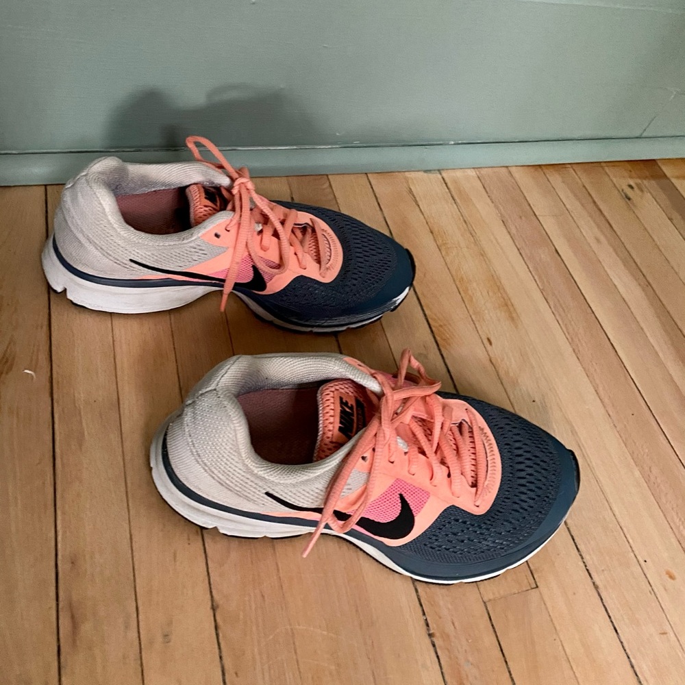 Nike Pegasus 30
